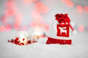 Sachet de noël rouge représentant un cerf, posé sur un sol de neige