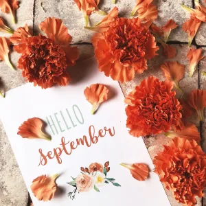 Oeillets orange sur une feuille de papier avec écrit Hello September